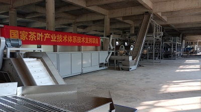 六堡茶初制生产线